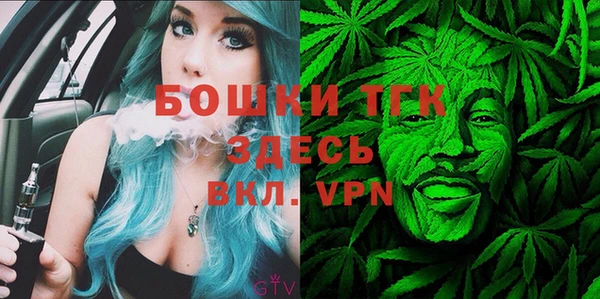 дживик Белокуриха