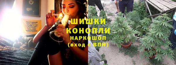дживик Белокуриха