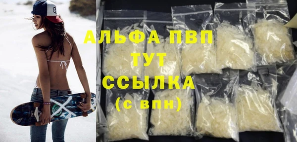 дживик Белокуриха