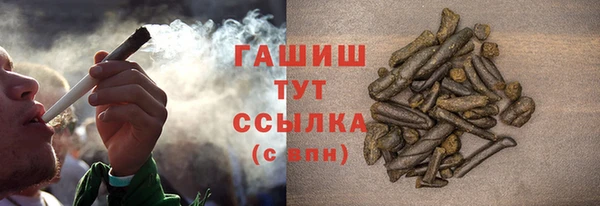 дживик Белокуриха