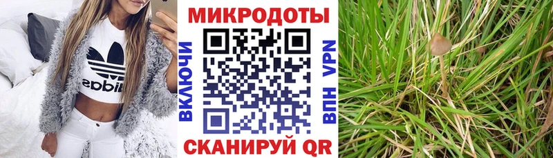 Купить закладки  Уварово  Галлюциногенные грибы мицелий 